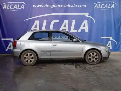 Vehículo de desguace AUDI A3 (8L) 1.9 TDI del año 1997 con motor ASV