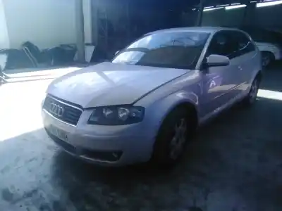 Scrapping Vehicle audi a3 (8p1) 2.0 tdi of the year 2003 powered azv,cbaa,cffa