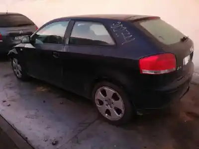 Scrapping Vehicle AUDI A3 (8P) 1.9 TDI Ambiente of the year 2007 powered BXE