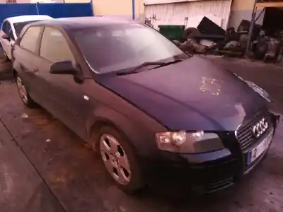 Scrapping Vehicle audi a3 (8p) 1.9 tdi ambiente of the year 2007 powered bxe