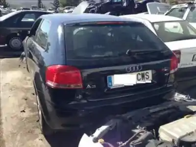 Veículo de Sucata audi a3 (8p) 1.6 fsi ambiente 116 cv / 85 kw do ano 2004 alimentado bag