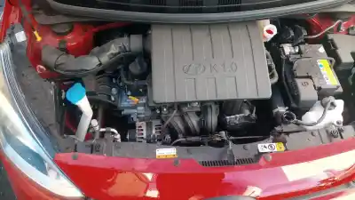 Veículo de Sucata hyundai i10 ii (ba, ia) 1.0 do ano 2019 alimentado g3la