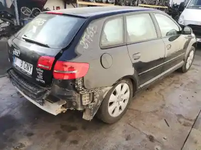 Véhicule à la ferraille audi a3 (8p) 1.9 tdi ambiente de l'année 2009 alimenté bls