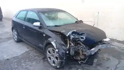 Sloopvoertuig audi a3 (8p1) 1.6 van het jaar 2006 aangedreven bse