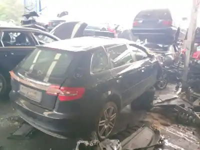 Véhicule à la ferraille audi a3 (8p1) 2.0 tdi 16v de l'année 2008 alimenté cba