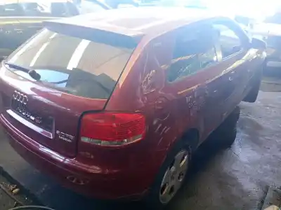 Scrapping Vehicle audi a3 (8p1) 2.0 fsi of the year 2004 powered axw