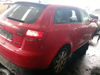 Scrapping Vehicle audi a3 (8p1) 2.0 tdi 16v of the year 2006 powered bkd