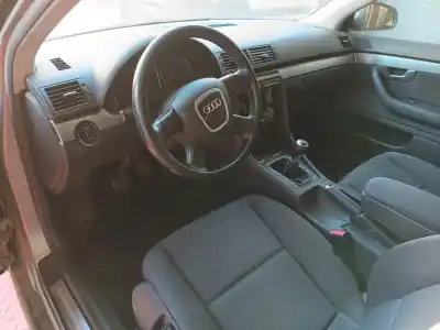 Veicolo di demolizione audi a4 berlina (8e) 2.0 tdi dell'anno 2005 alimentato blb