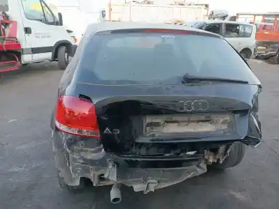Veículo de Sucata audi a3 (8p1) 1.6 do ano 2004 alimentado bgu