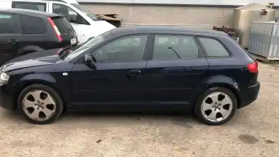 Veículo de Sucata audi a3 (8p) 1.9 tdi ambiente do ano 2006 alimentado bls