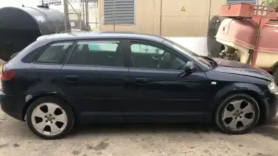 Veículo de Sucata audi a3 (8p) 1.9 tdi ambiente do ano 2006 alimentado bls