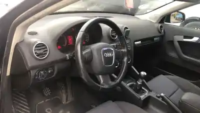 Veículo de Sucata audi a3 (8p) 1.9 tdi ambiente do ano 2006 alimentado bls