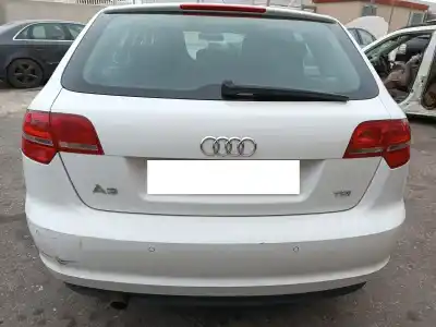 Veículo de Sucata audi a3 (8p1) 2.0 tdi 16v do ano 2010 alimentado cffb