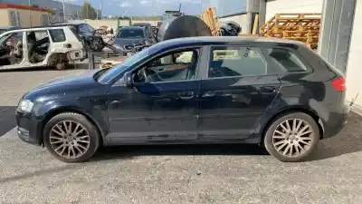 Veicolo di demolizione audi a3 (8p1) 2.0 tdi 16v dell'anno 2010 alimentato cffb