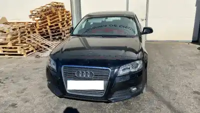 Veicolo di demolizione audi a3 (8p1) 2.0 tdi 16v dell'anno 2010 alimentato cffb