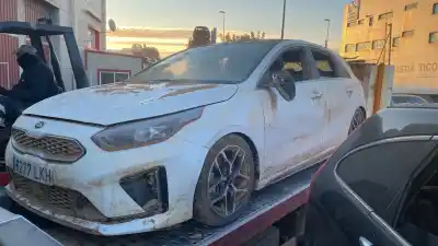 Sloopvoertuig kia ceed business van het jaar 2020 aangedreven g4ld