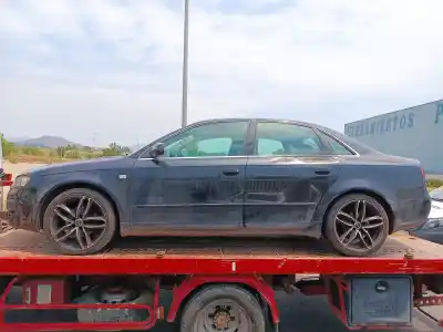 Veicolo di demolizione audi a4 berlina (8e) 2.0 tdi 16v (103kw) dell'anno 2005 alimentato blb