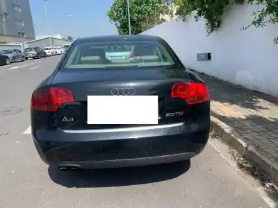 Sloopvoertuig audi a4 berlina (8e) 2.0 tdi 16v (103kw) van het jaar 2006 aangedreven bre