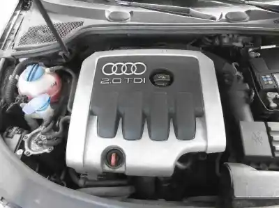 Verschrottungsfahrzeug audi                                               a3 (8p)                                                                                                                                                                                                                                                    2.0 tdi ambiente                                                                                                                                                                                                                                           des jahres 2004 angetrieben bkd