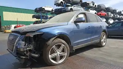Veicolo di demolizione audi q5 (8r) 2.0 tdi (125kw) dell'anno 2009 alimentato caha