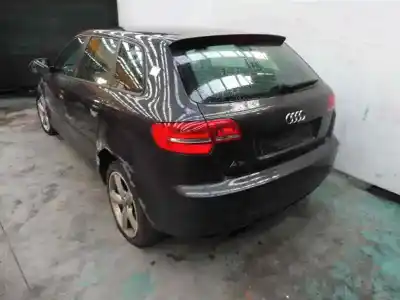 Verschrottungsfahrzeug audi a3 sportback (8p) 1.9 tdi ambition des jahres 2008 angetrieben bxe