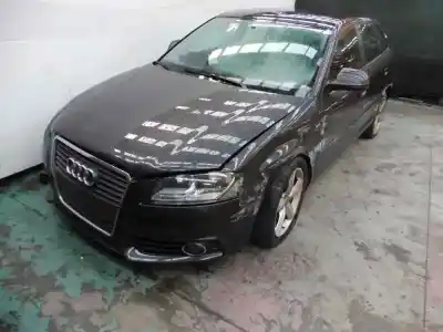 Verschrottungsfahrzeug audi a3 sportback (8p) 1.9 tdi ambition des jahres 2008 angetrieben bxe