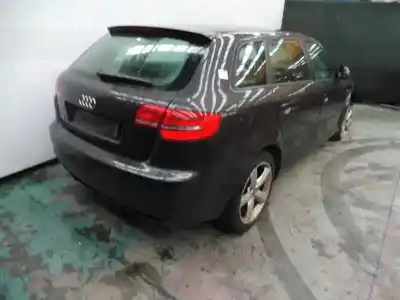 Verschrottungsfahrzeug audi a3 sportback (8p) 1.9 tdi ambition des jahres 2008 angetrieben bxe
