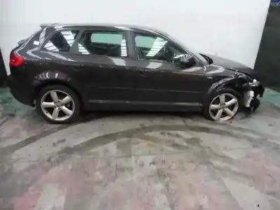 Verschrottungsfahrzeug audi a3 sportback (8p) 1.9 tdi ambition des jahres 2008 angetrieben bxe