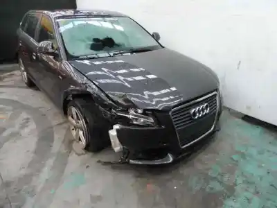 Verschrottungsfahrzeug audi a3 sportback (8p) 1.9 tdi ambition des jahres 2008 angetrieben bxe