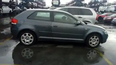 Scrapping Vehicle audi a3 (8p) 1.6 ambiente of the year 2003 powered bgu