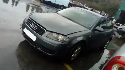Scrapping Vehicle audi a3 (8p) 1.6 ambiente of the year 2003 powered bgu