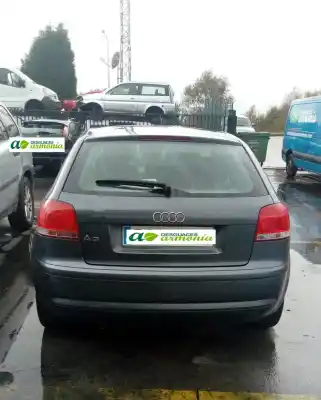 Scrapping Vehicle audi a3 (8p) 1.6 ambiente of the year 2003 powered bgu