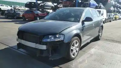 Scrapping Vehicle audi a3 (8p) 1.9 tdi of the year 2009 powered bls