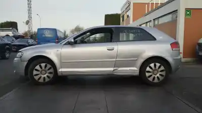 Veículo de Sucata AUDI A3 (8P) 2.0 TDI Ambiente do ano 2005 alimentado BKD