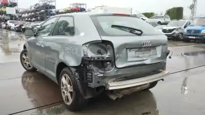 Veicolo di demolizione audi a3 (8p) 1.9 tdi ambiente dell'anno 2009 alimentato bls