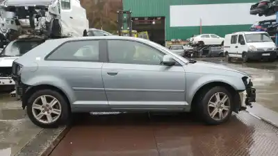 Veicolo di demolizione audi a3 (8p) 1.9 tdi ambiente dell'anno 2009 alimentato bls