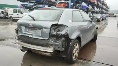 Veicolo di demolizione audi a3 (8p) 1.9 tdi ambiente dell'anno 2009 alimentato bls