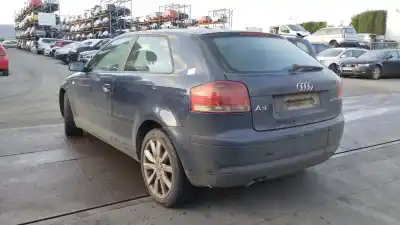 Scrapping Vehicle audi a3 (8p) 2.0 tdi of the year 2005 powered bkd