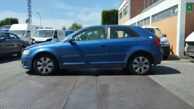 Scrapping Vehicle audi a3 (8p) 1.9 tdi of the year 2009 powered bls