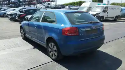 Scrapping Vehicle audi a3 (8p) 1.9 tdi of the year 2009 powered bls