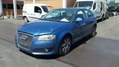 Scrapping Vehicle audi a3 (8p) 1.9 tdi of the year 2009 powered bls
