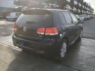 Veicolo di demolizione volkswagen golf vi (5k1) 1.6 tdi dell'anno 2011 alimentato cayc