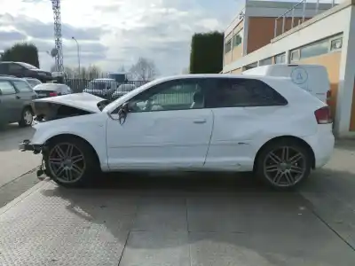 Scrapping Vehicle audi a3 (8p1) 2.0 tdi of the year 2007 powered bmn,cbbb,cfgb