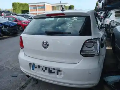 Veicolo di demolizione VOLKSWAGEN POLO V (6R1, 6C1) 1.6 TDI dell'anno 2009 alimentato CAYB