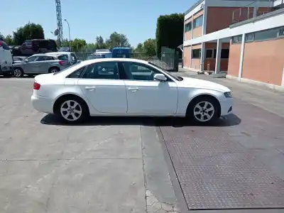 Veicolo di demolizione AUDI A4 B8 (8K2) 2.0 TDI dell'anno 2009 alimentato CAGB