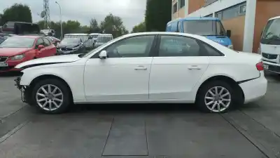 Veicolo di demolizione audi a4 b8 (8k2) 2.0 tdi dell'anno 2012 alimentato caga,cjca,cmea,cmfa