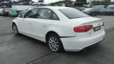 Veicolo di demolizione audi a4 b8 (8k2) 2.0 tdi dell'anno 2012 alimentato caga,cjca,cmea,cmfa