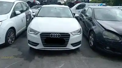 Veículo de Sucata audi a3 (8v1, 8vk) 1.6 tdi do ano 2013 alimentado clha