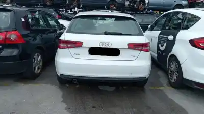 Veículo de Sucata audi a3 (8v1, 8vk) 1.6 tdi do ano 2013 alimentado clha
