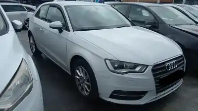 Veículo de Sucata audi a3 (8v1, 8vk) 1.6 tdi do ano 2013 alimentado clha